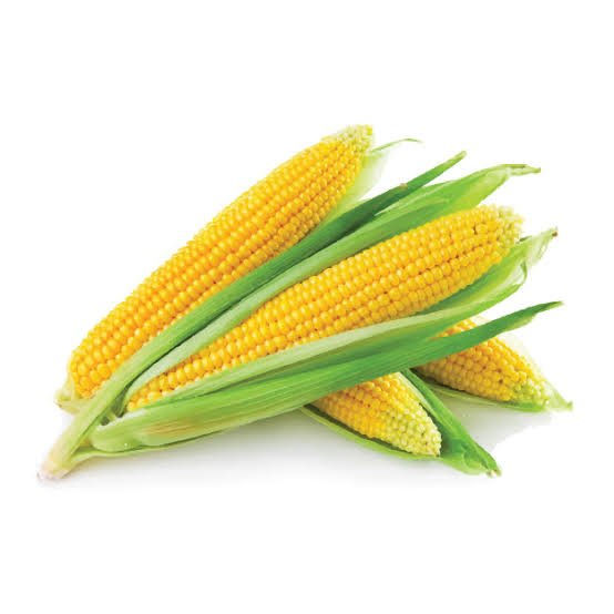 Crop Icon