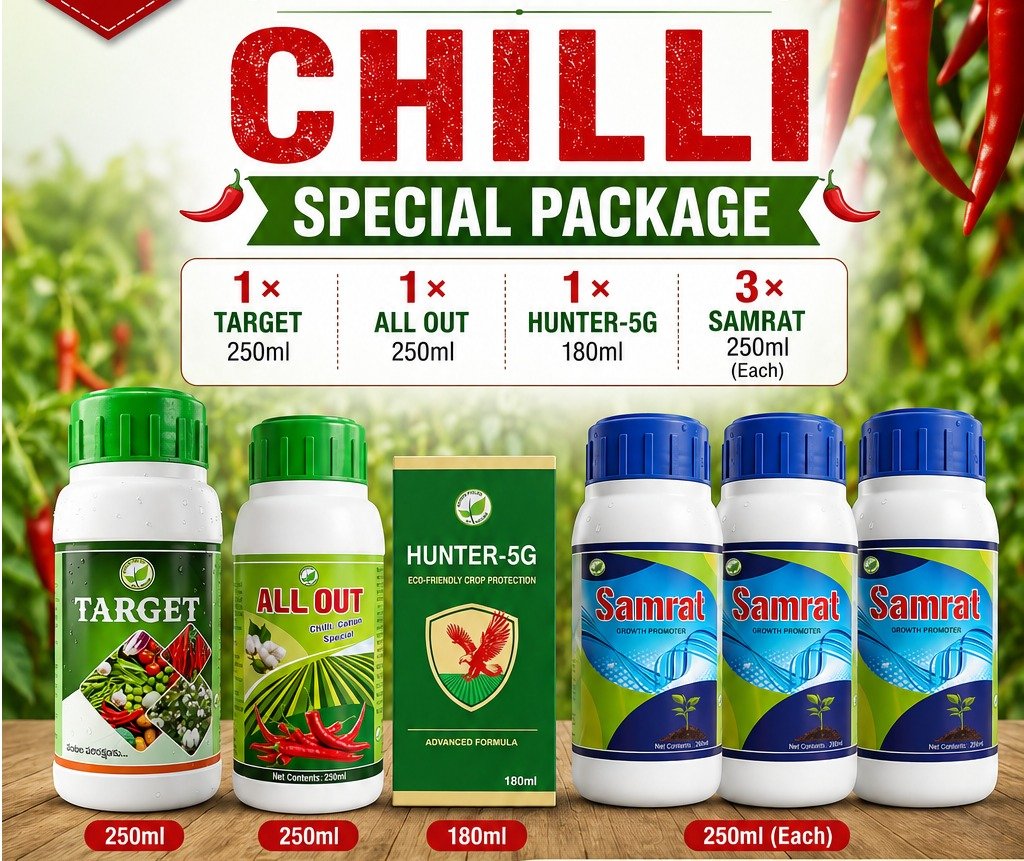 Chilli Special Package