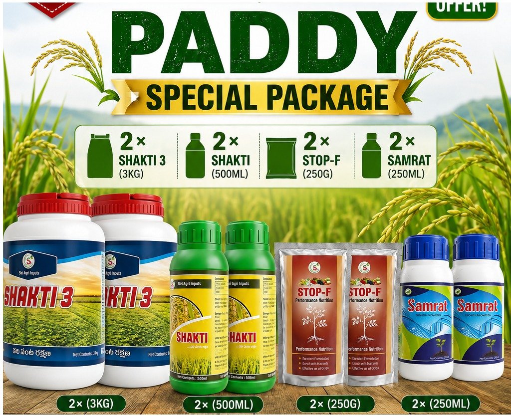 Paddy Special Package